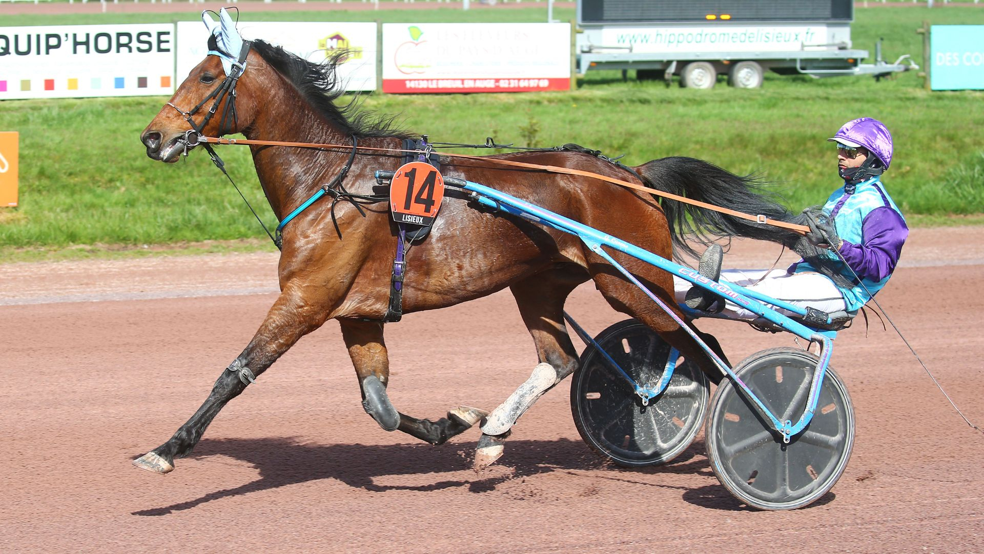 Gaz d'Occagnes - ©Scoopdyga
