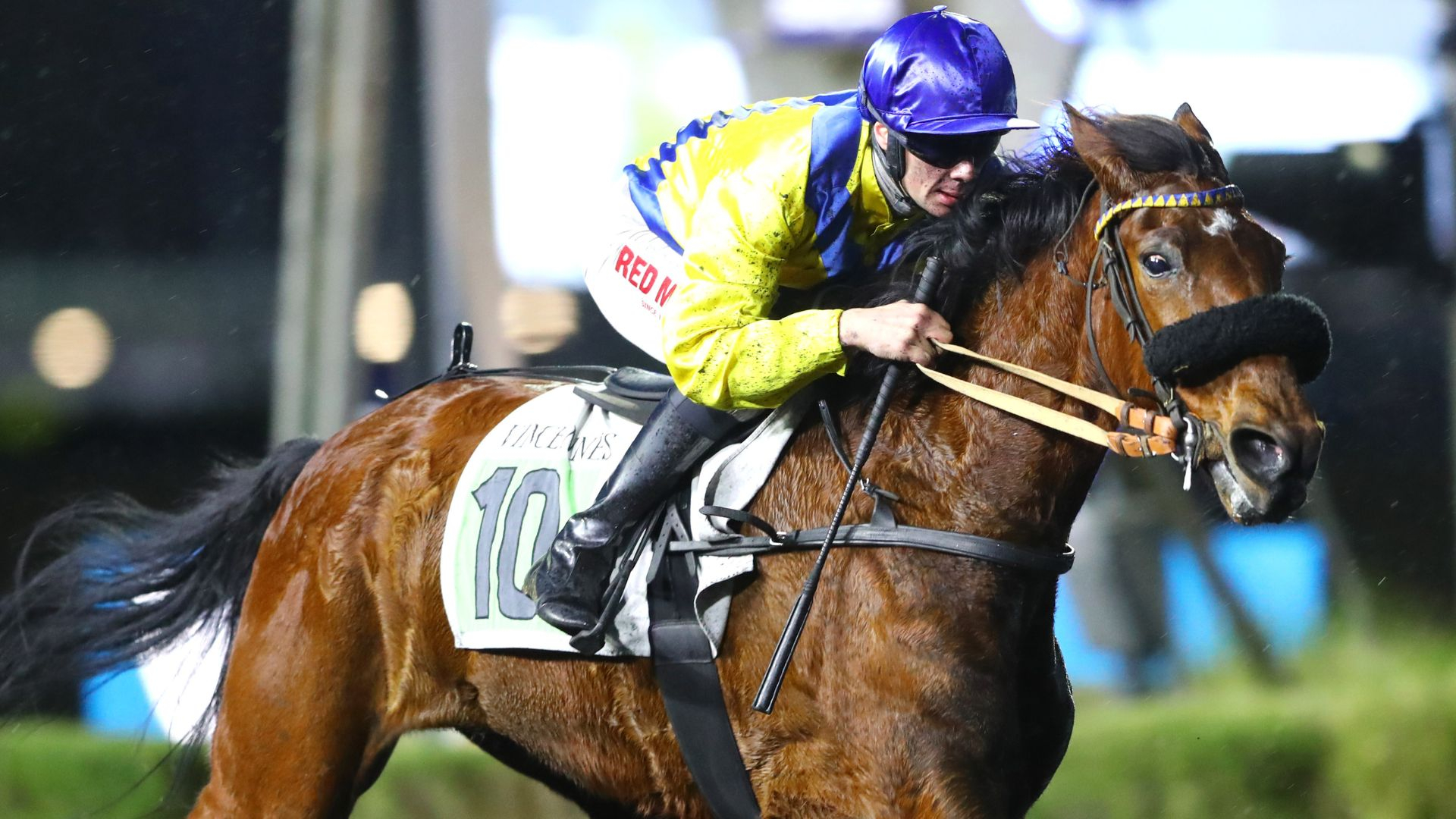 Gazelle de Val - ©Aprh