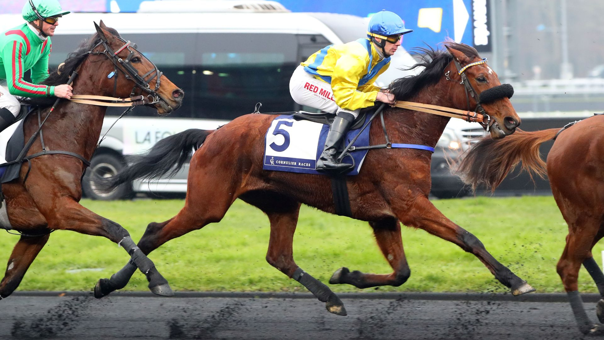 Gazelle de Val - ©Scoopdyga