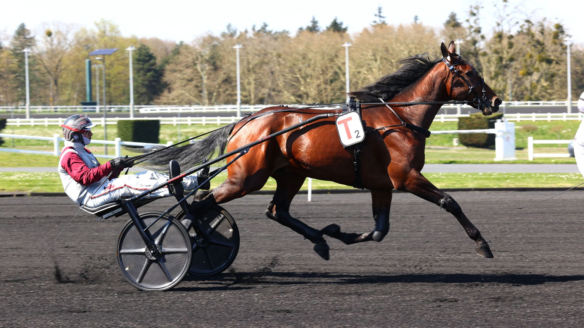 Ginostrabliggi - ©Scoopdyga