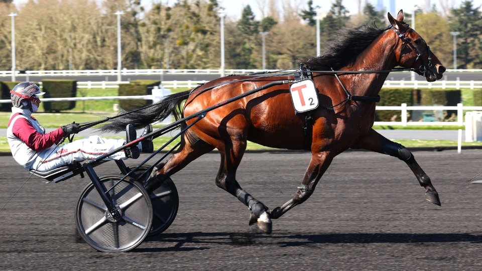 Ginostrabliggi au travail à Vincennes ce mardi - © ScoopDyga
