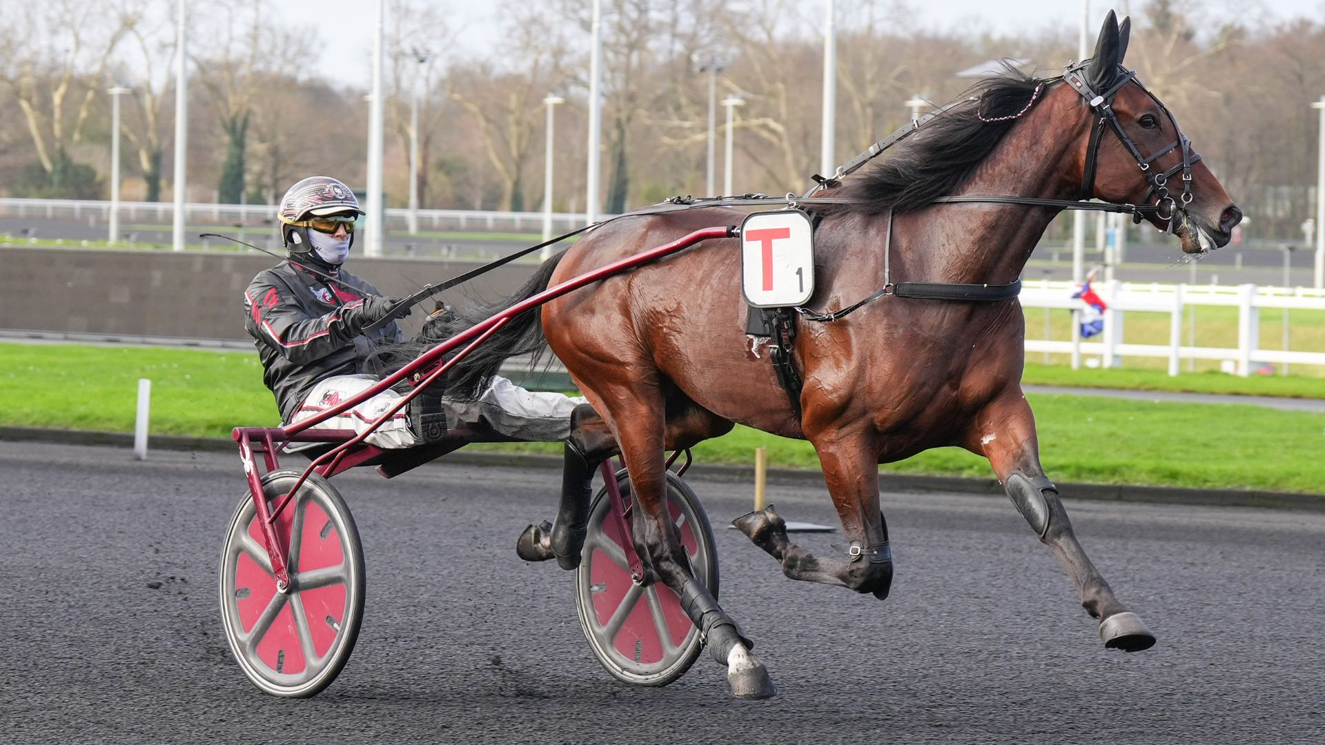 Ginostrabliggi - © Aprh