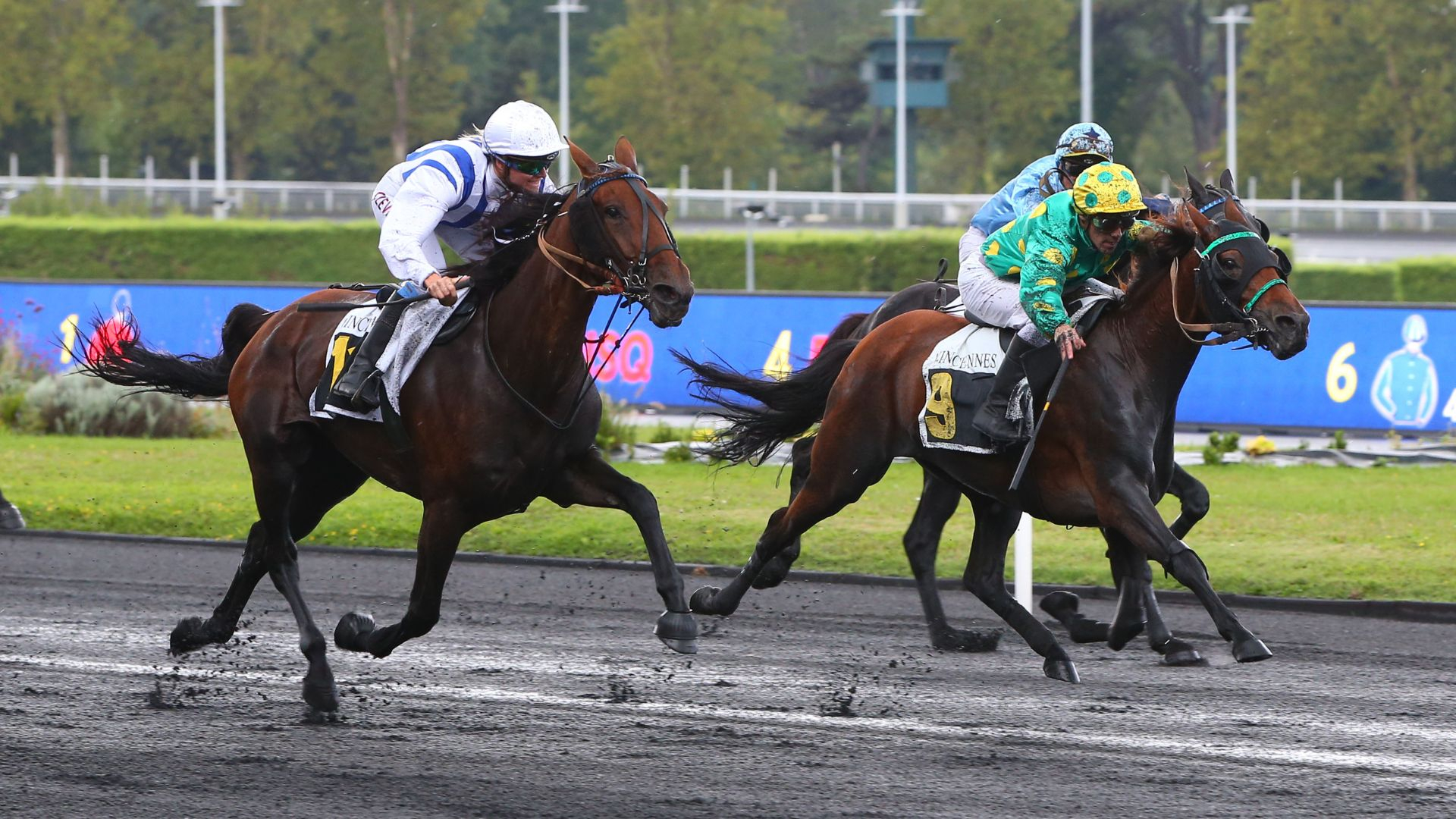 Girly Béco - Granvillaise Bleue