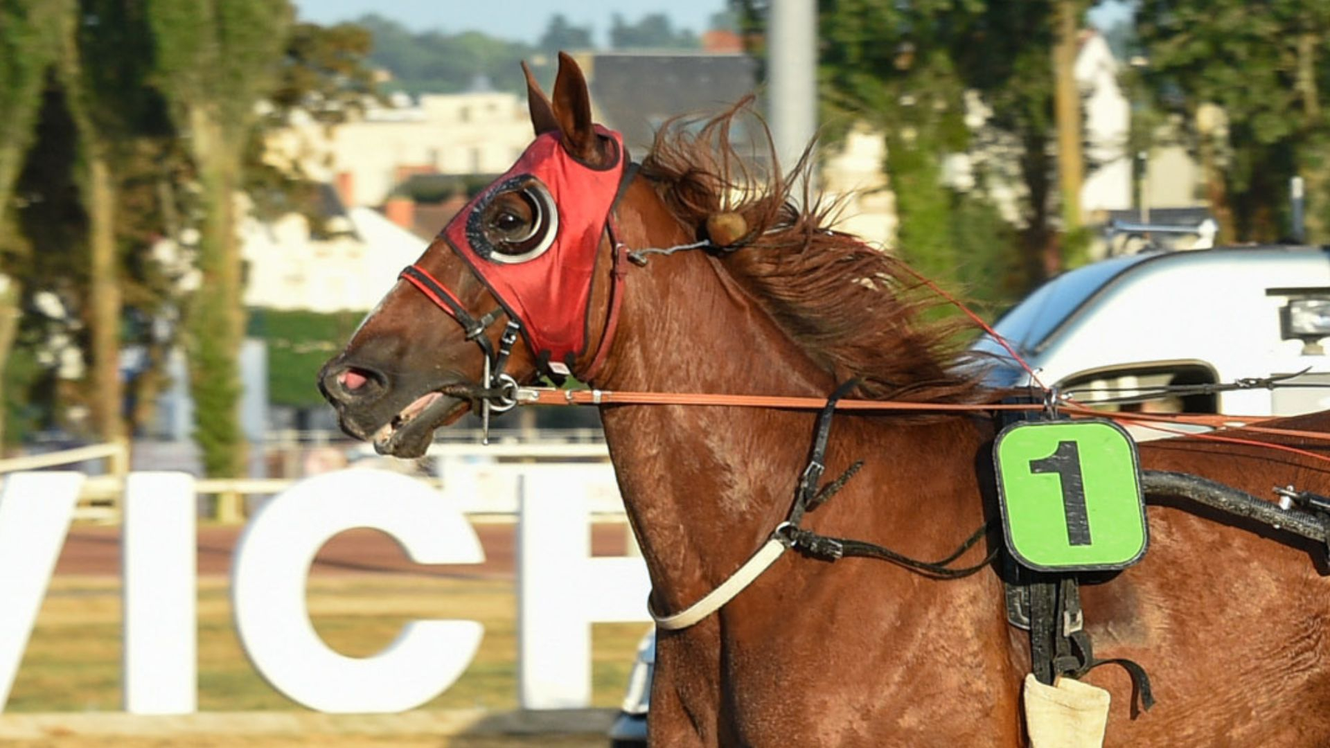 Glamour Yoma et Théo Briand vainqueurs de la Speed Cup 2025 à Vichy - ©Aprh