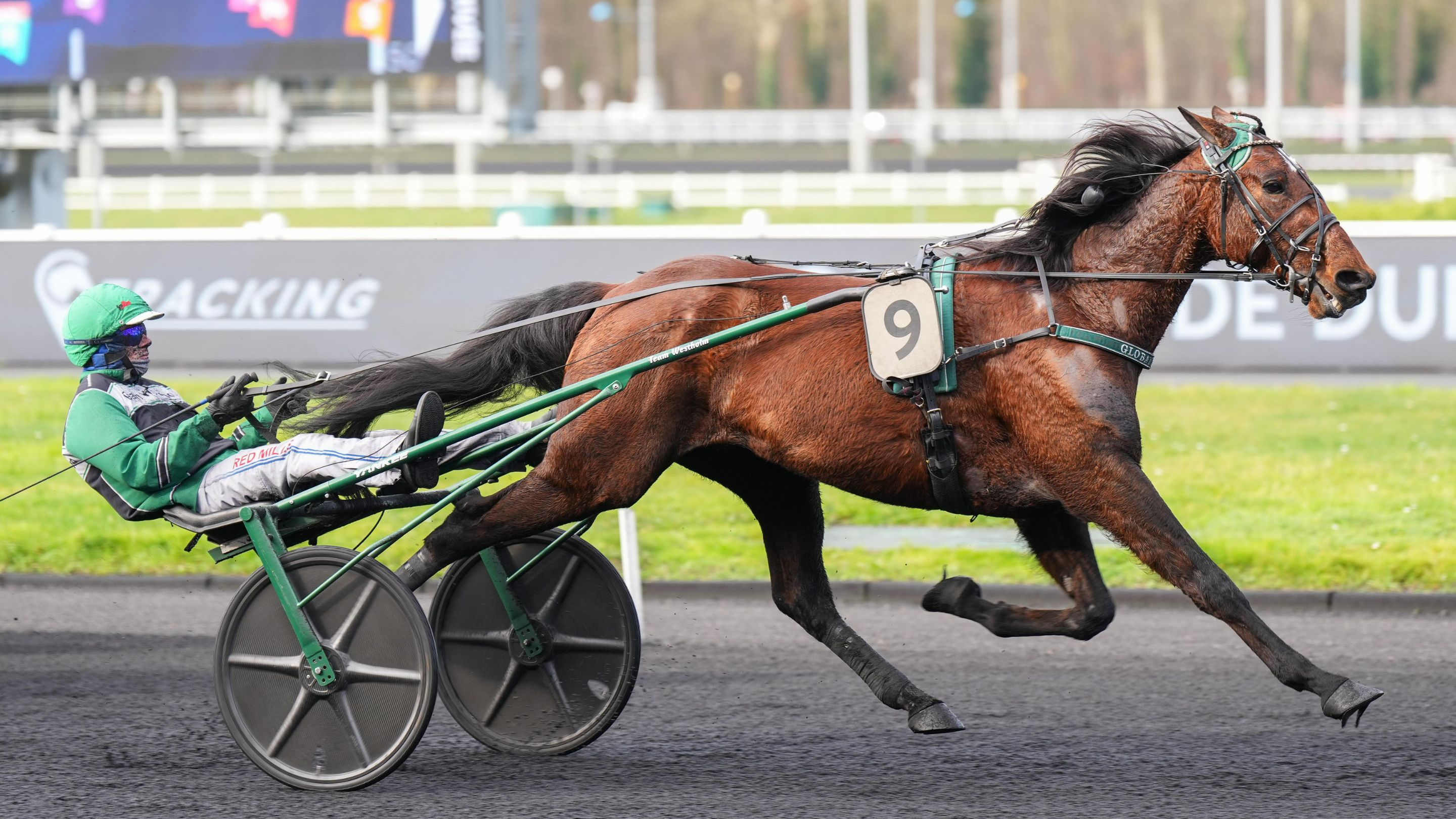 Global Concept - © ScoopDyga