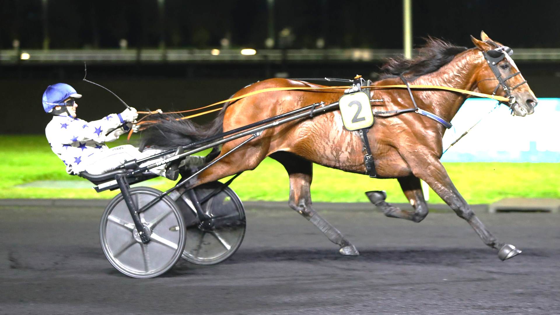 ©Scoopdyga - Go On Boy va-t-il encore faire admirer sa pointe de vitesse ?