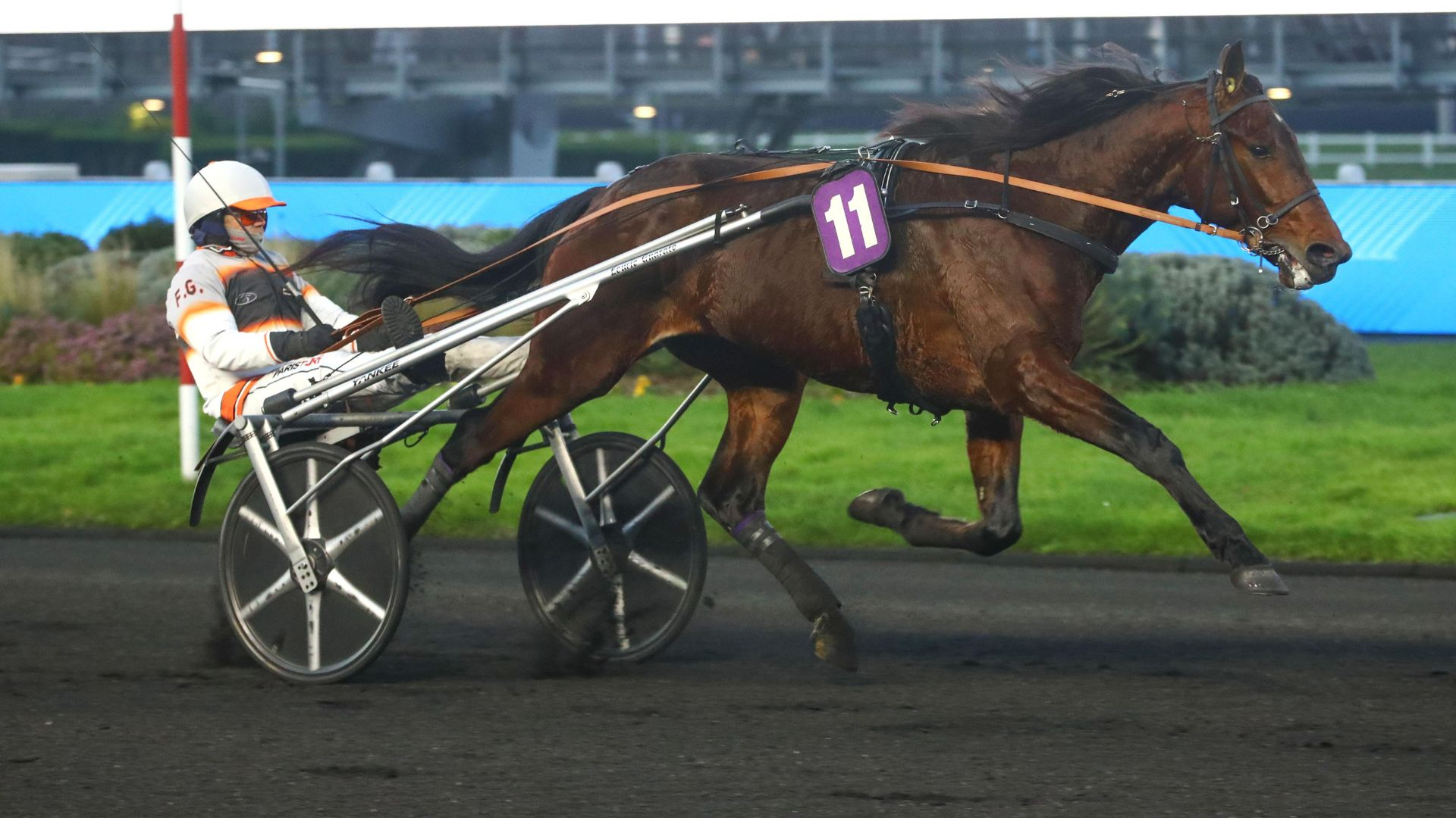 Golden Gio, très supérieur - ©Aprh