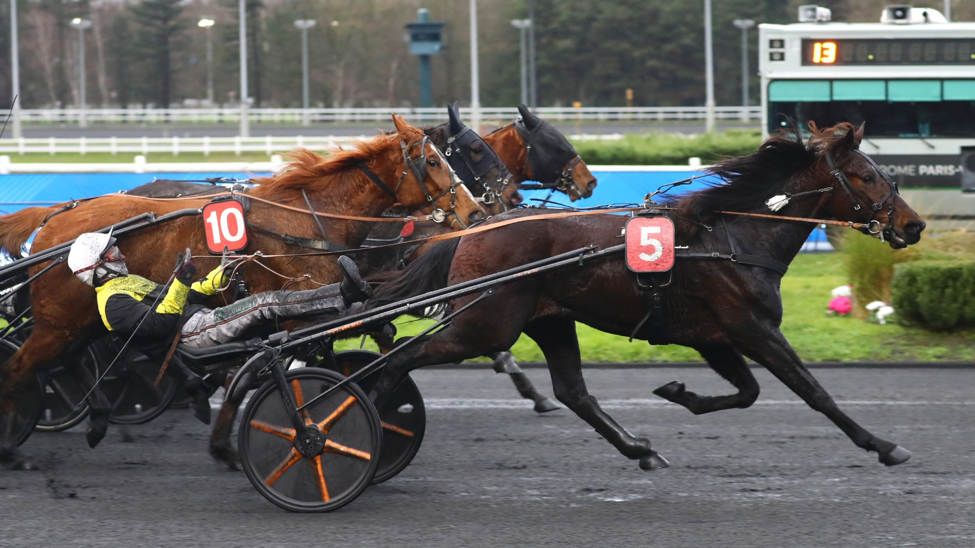 Gold Mail, courageux en diable - © Aprh