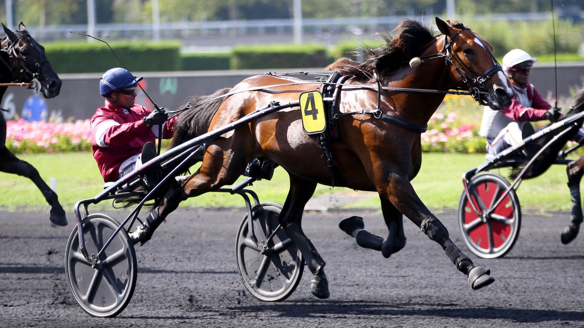 Good Boy Ligneries à Vincennes - © ScoopDyga
