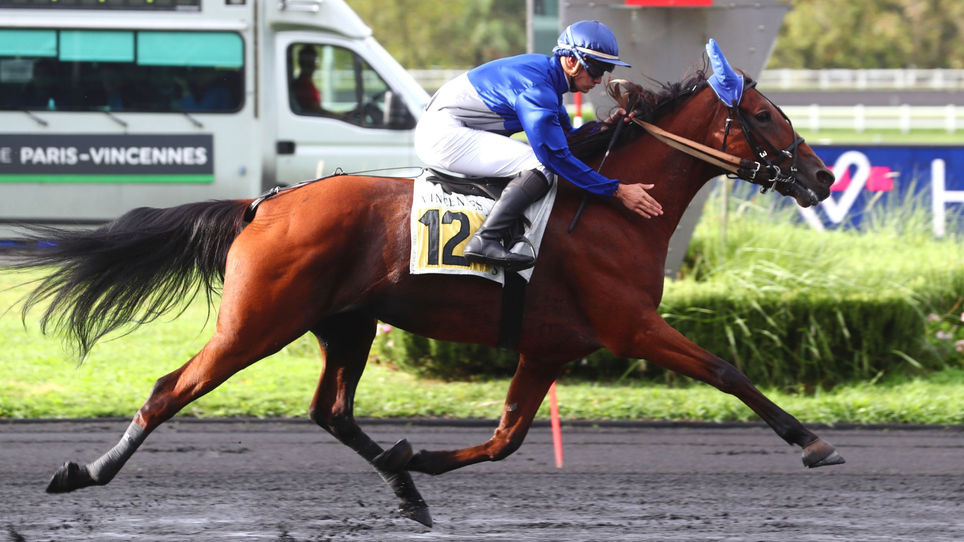 Good Girl Marceaux (lot 92) passe en vente ce mercredi - © Aprh