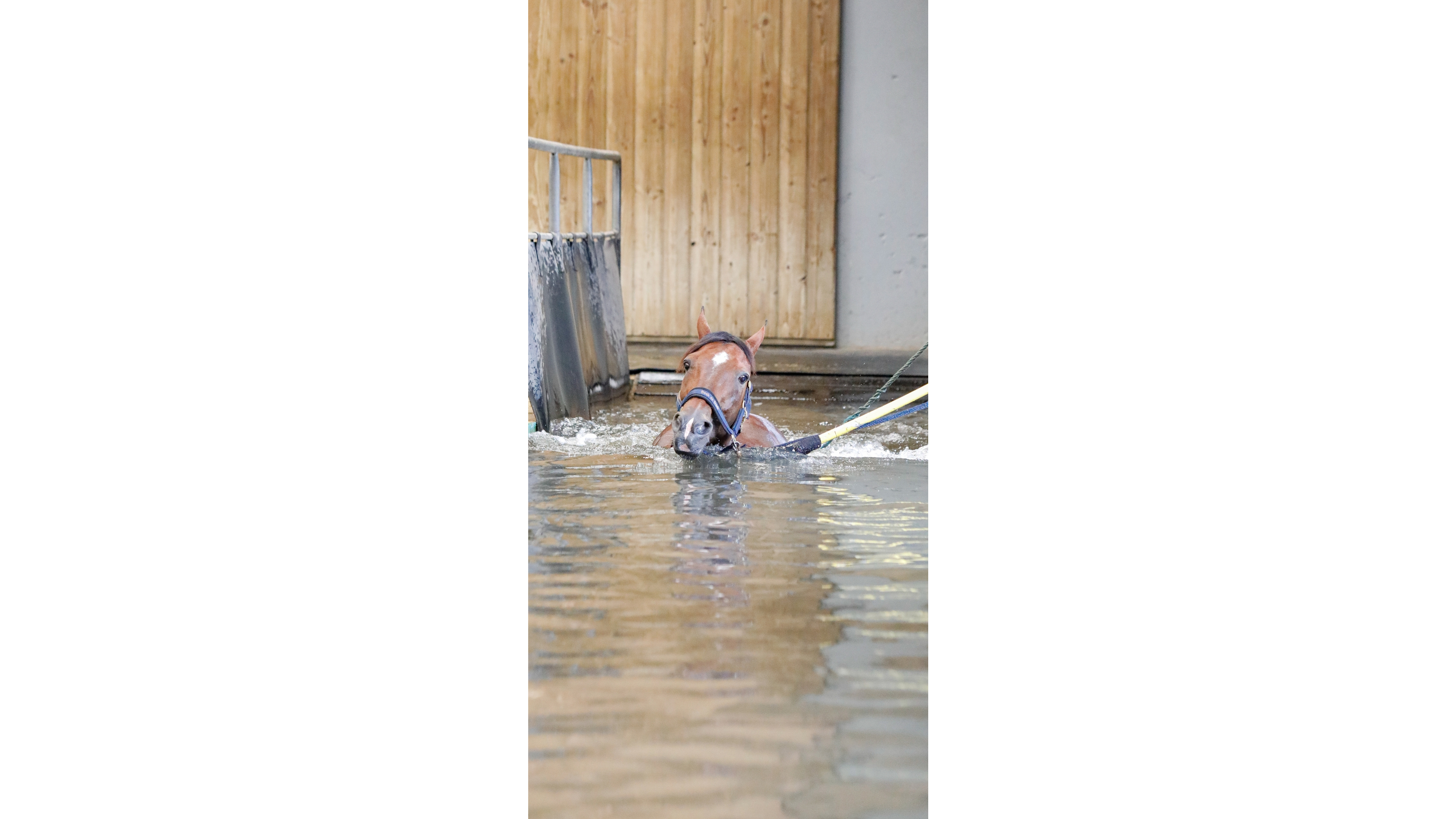 Go On Boy à la balnéothérapie - ©P.L/PC