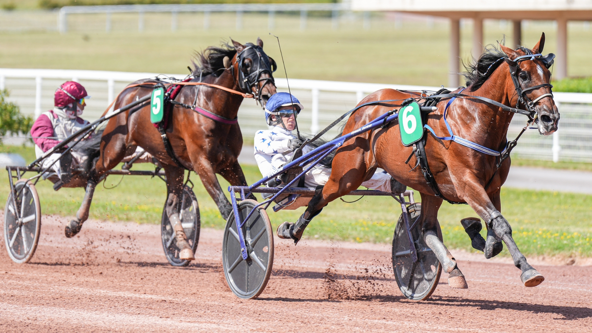 La nette supériorité de Go On Boy sur Hohneck - © ScoopDyga