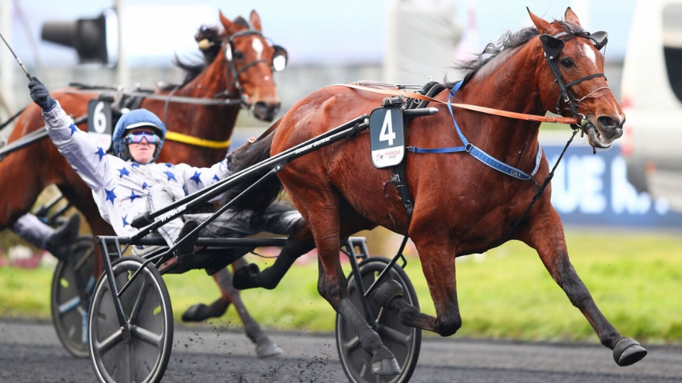 Go On Boy dans le  - © ScoopDyga