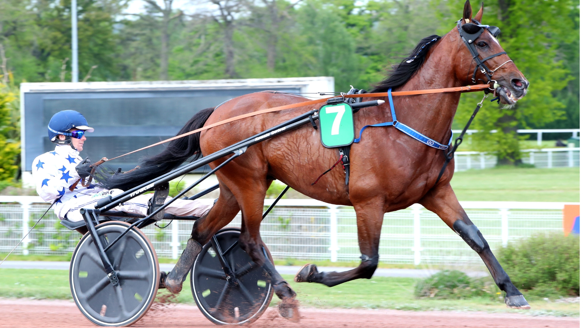 Go On Boy - © ScoopDyga