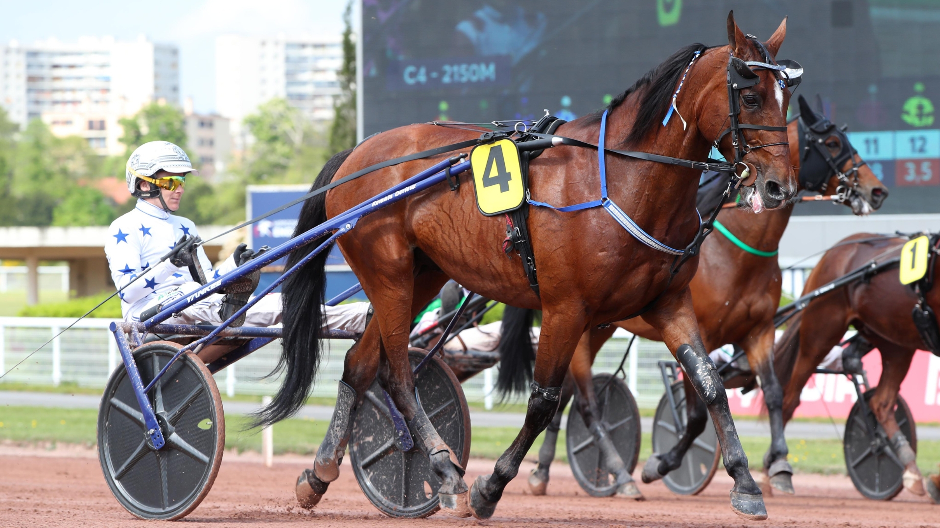 Go On Boy, encore au top dans l'Atlantique - © Aprh