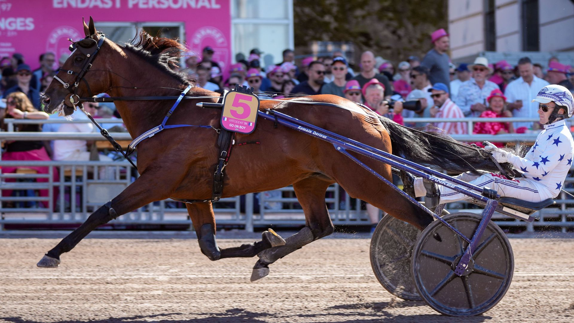 Go On Boy, ici à Solvalla - © ScoopDyga