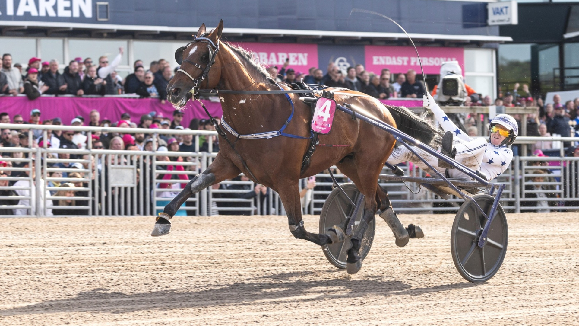 Go On Boy, le tenant du titre - © Solvalla.se