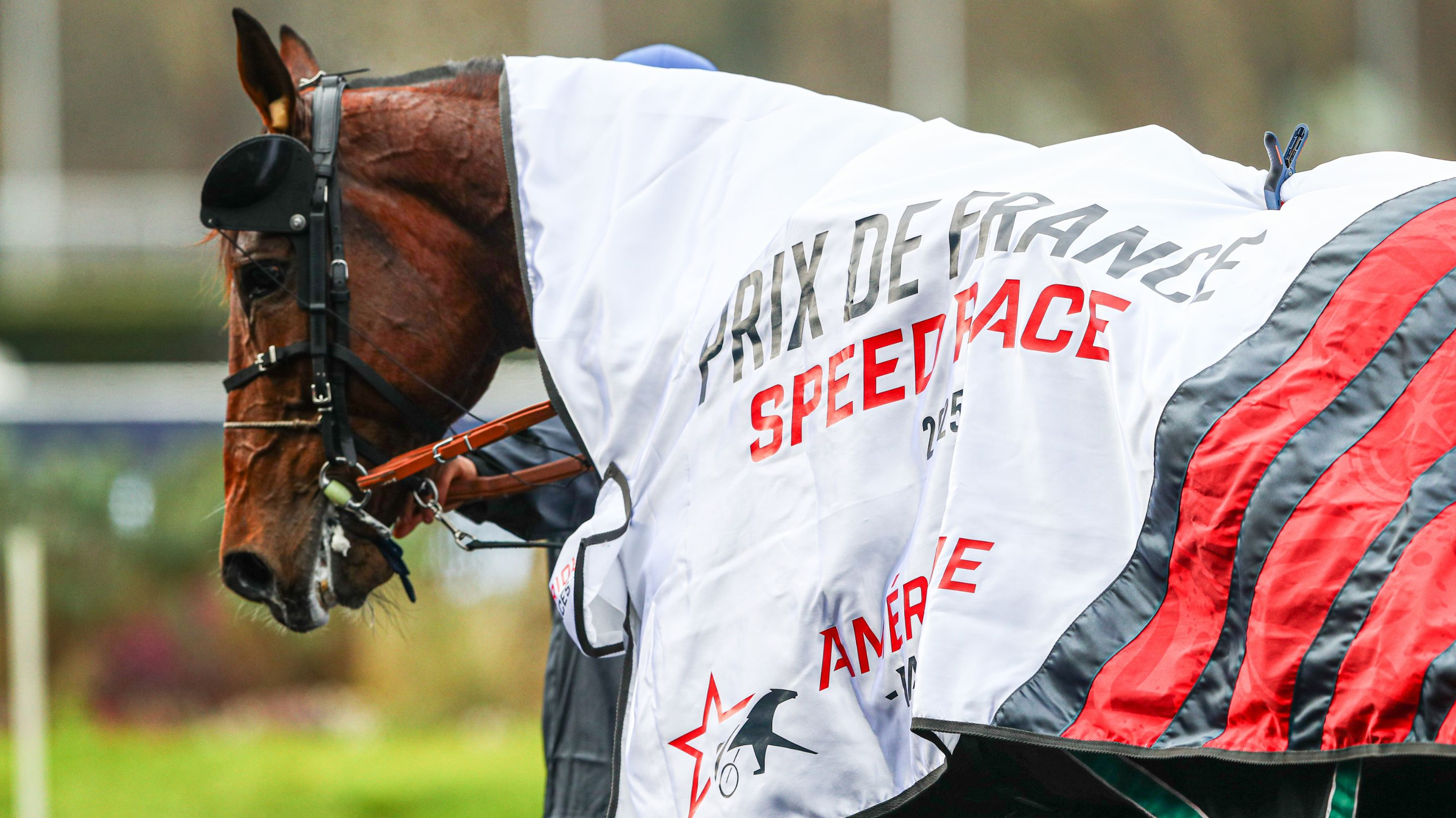 Go On Boy, le tenant du titre - © ScoopDyga