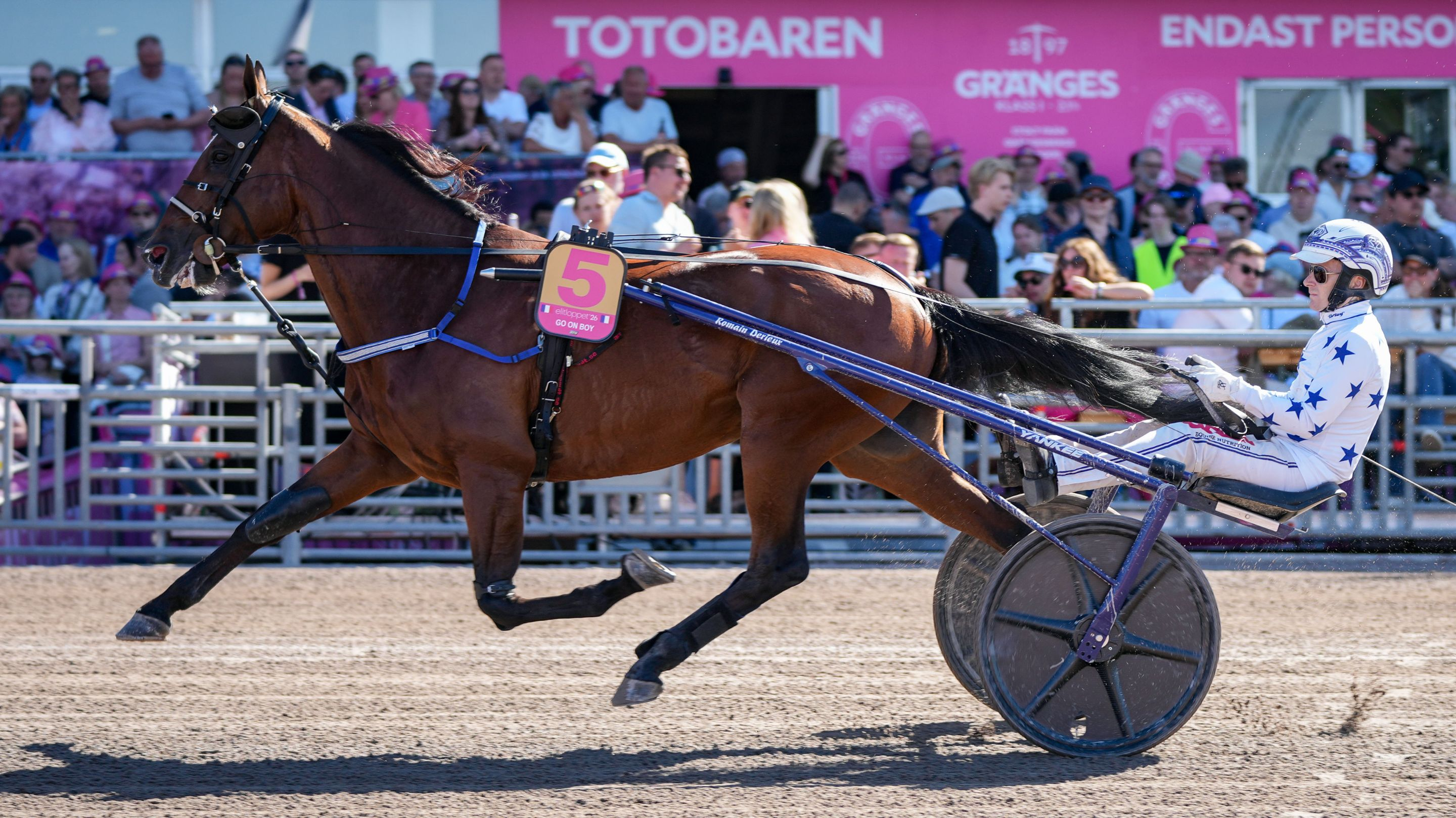 Go On Boy sur la piste de Solvalla où il a porté son record en 1'07''3 - © ScoopDyga