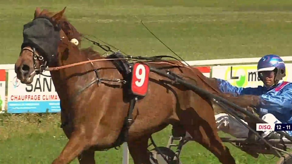 Grand Trio Ludois ne lâche rien à la fin - © Equidia
