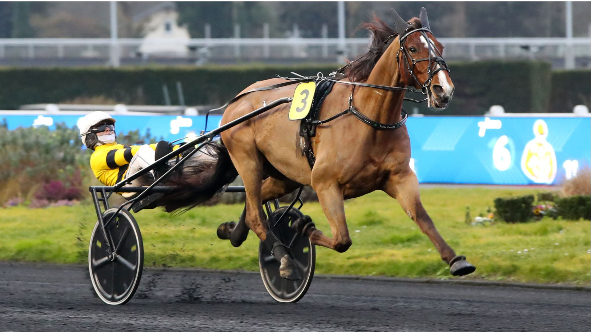 La victoire à Vincennes avec Great Rock - © Aprh