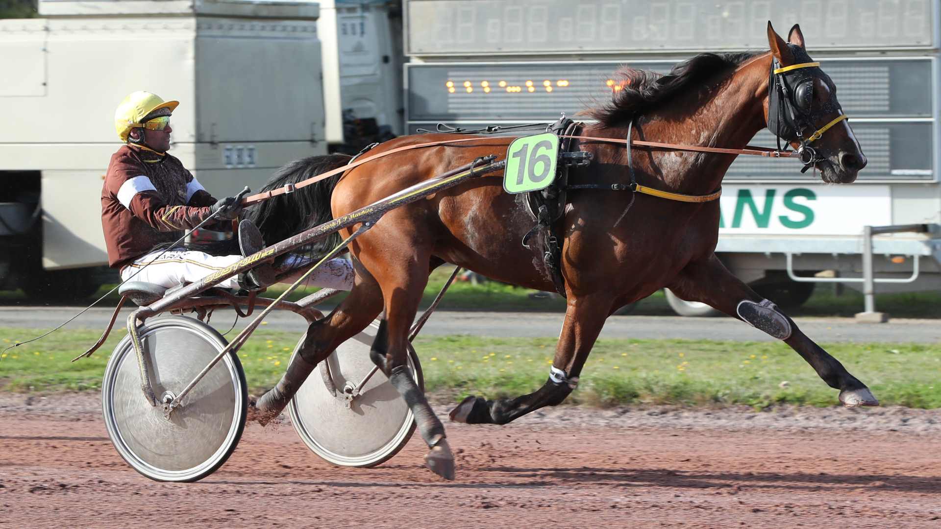 ©Scoopdyga - Greco Bello est cité à trois reprises parmi les meilleures statistiques