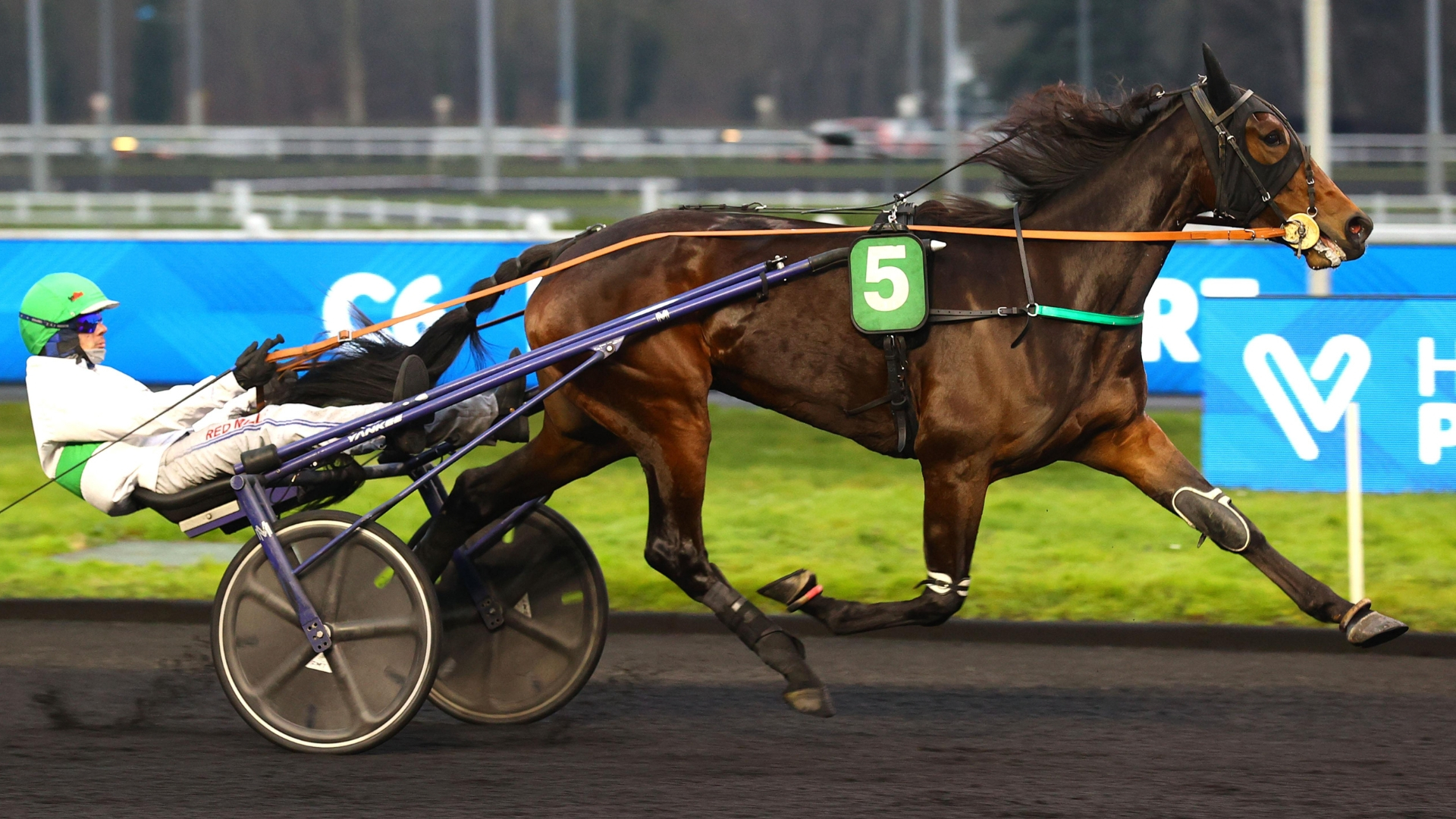 Le net succès de Guardami - © ScoopDyga