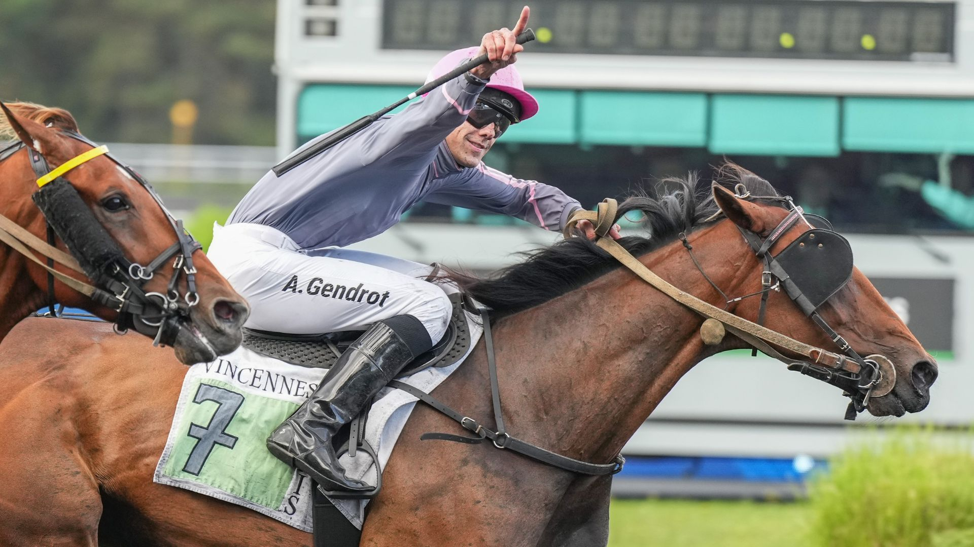 Halfa - Alan Gendrot