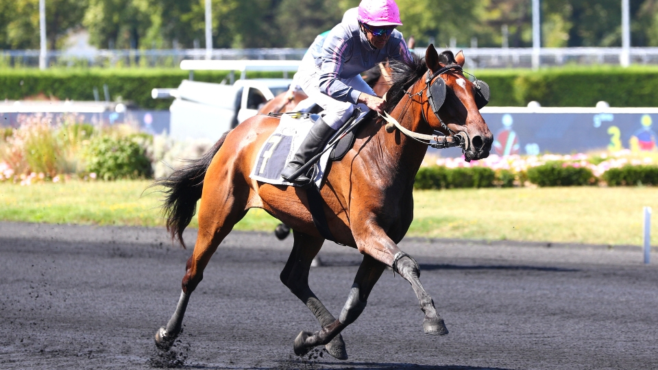 Halfa défendra la ligne du Prix Alfred Lefèvre - © Aprh