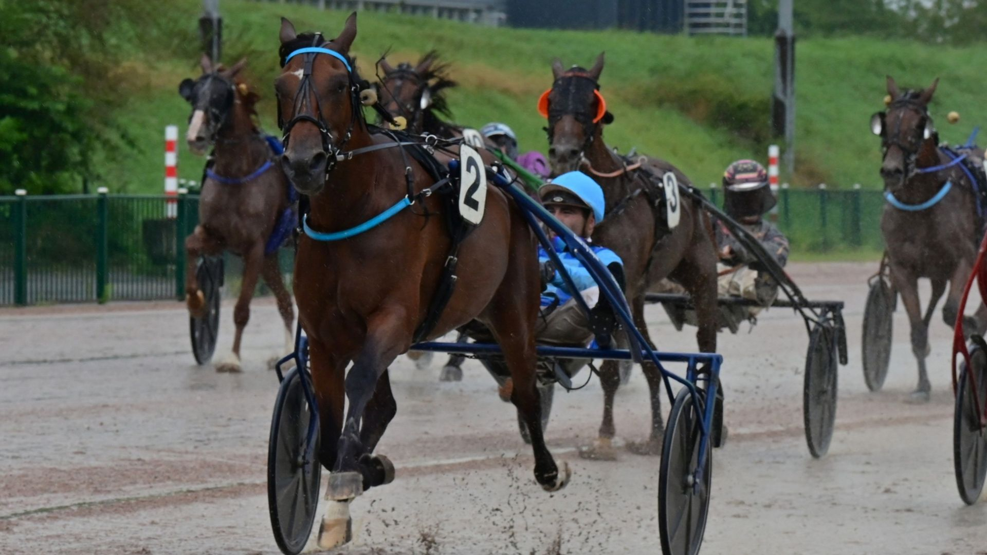 Hamonet de Choisel lors de sa victoire à Wolvega - © Noordtrot-Dutch Trotting News