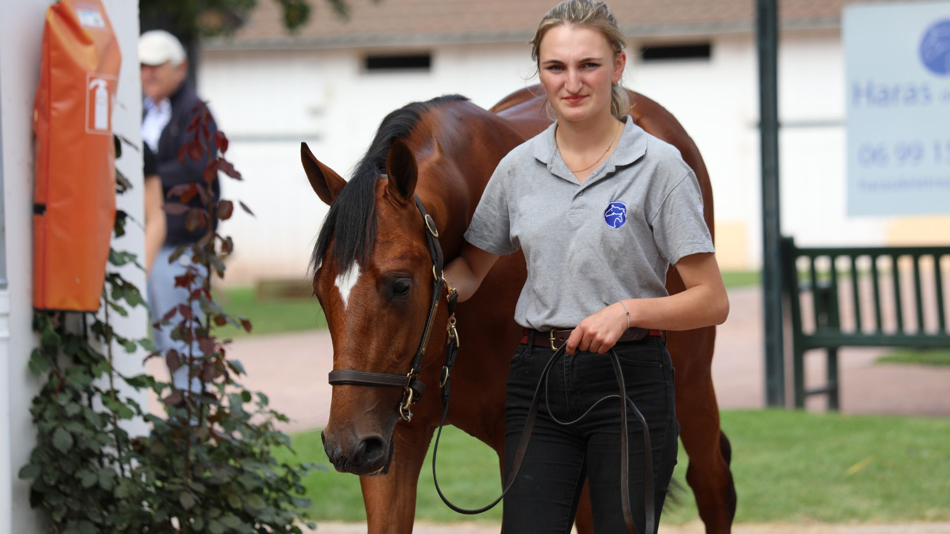 Le Haras de l'Être d'Alain Thébault &amp; Co