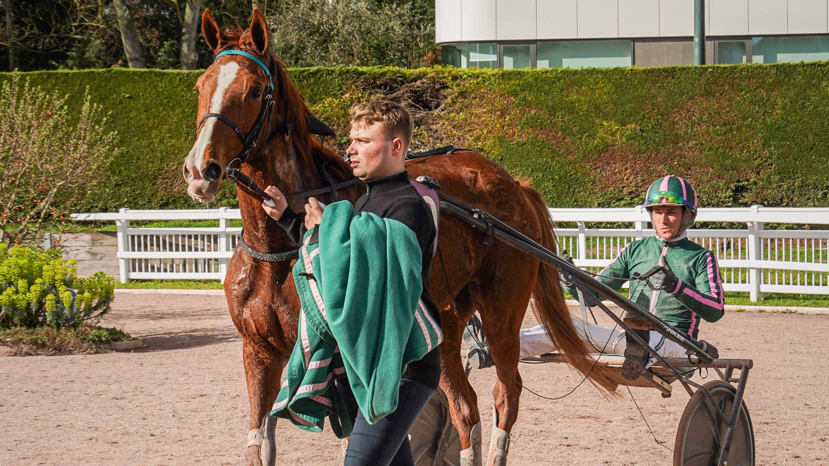 La casaque de l'Ecurie du Haras d'Erable est en réussite - © ScoopDyga