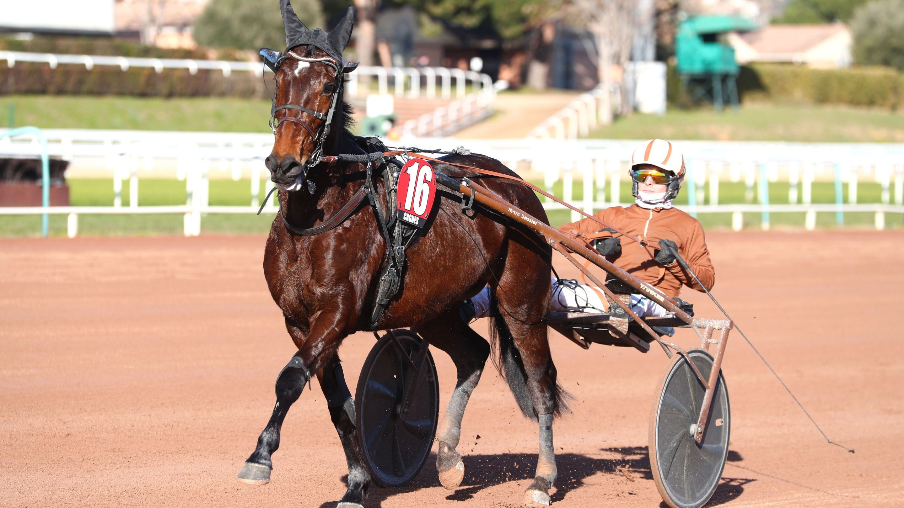 Harley Géma de retour à Cagnes-sur-Mer - © Aprh