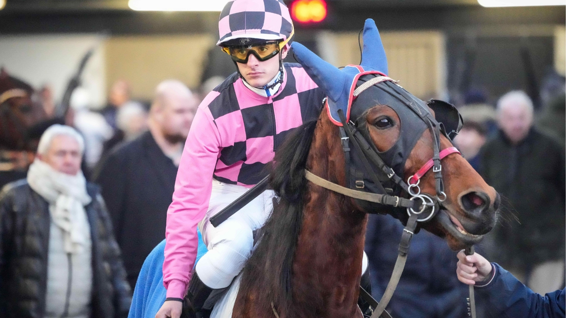 Medhi Lelièvre - Harmonista