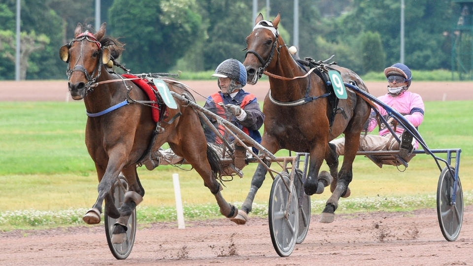 Harmony du Rabutin - Ibiki de Houelle