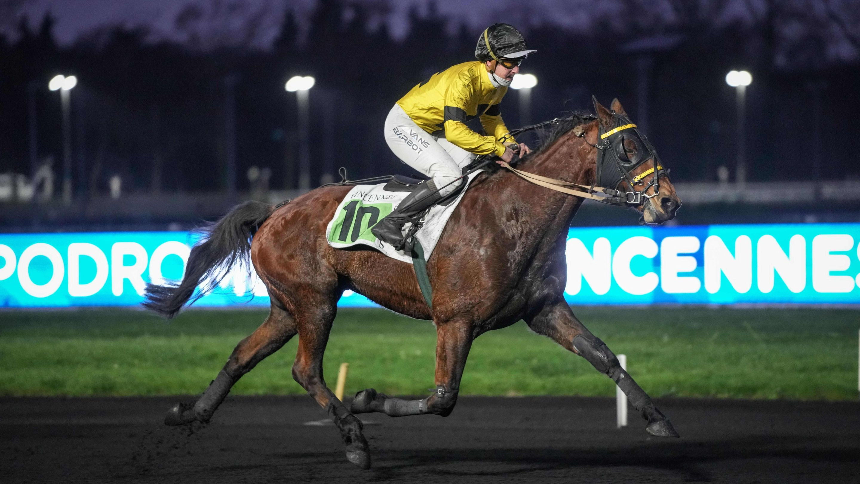 Harvest - © ScoopDyga