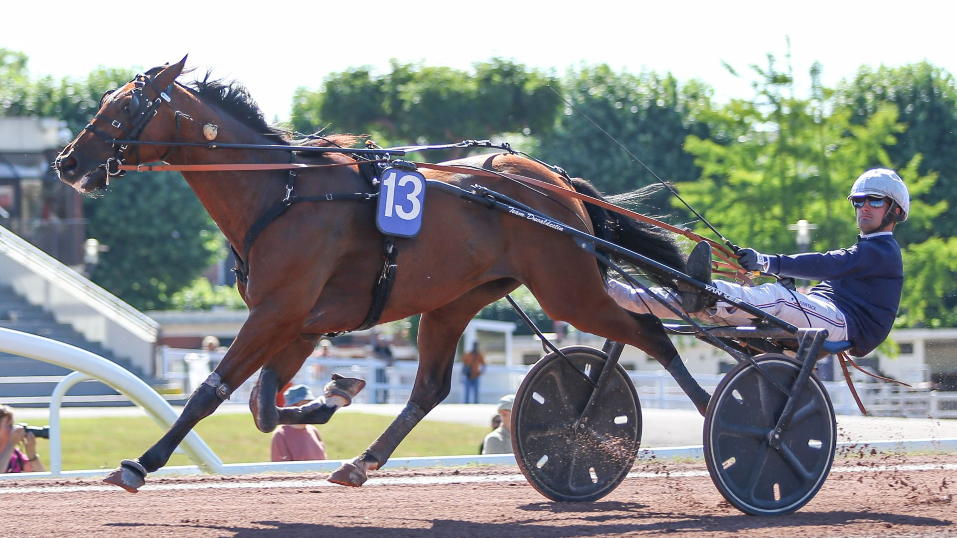 Head of State - © Aprh