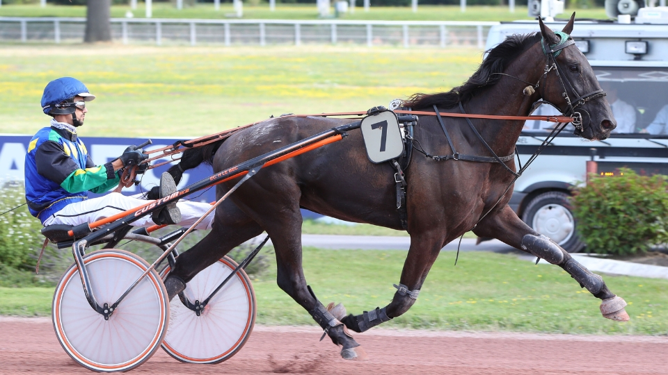 Helecho (photo d'archive) - © ScoopDyga