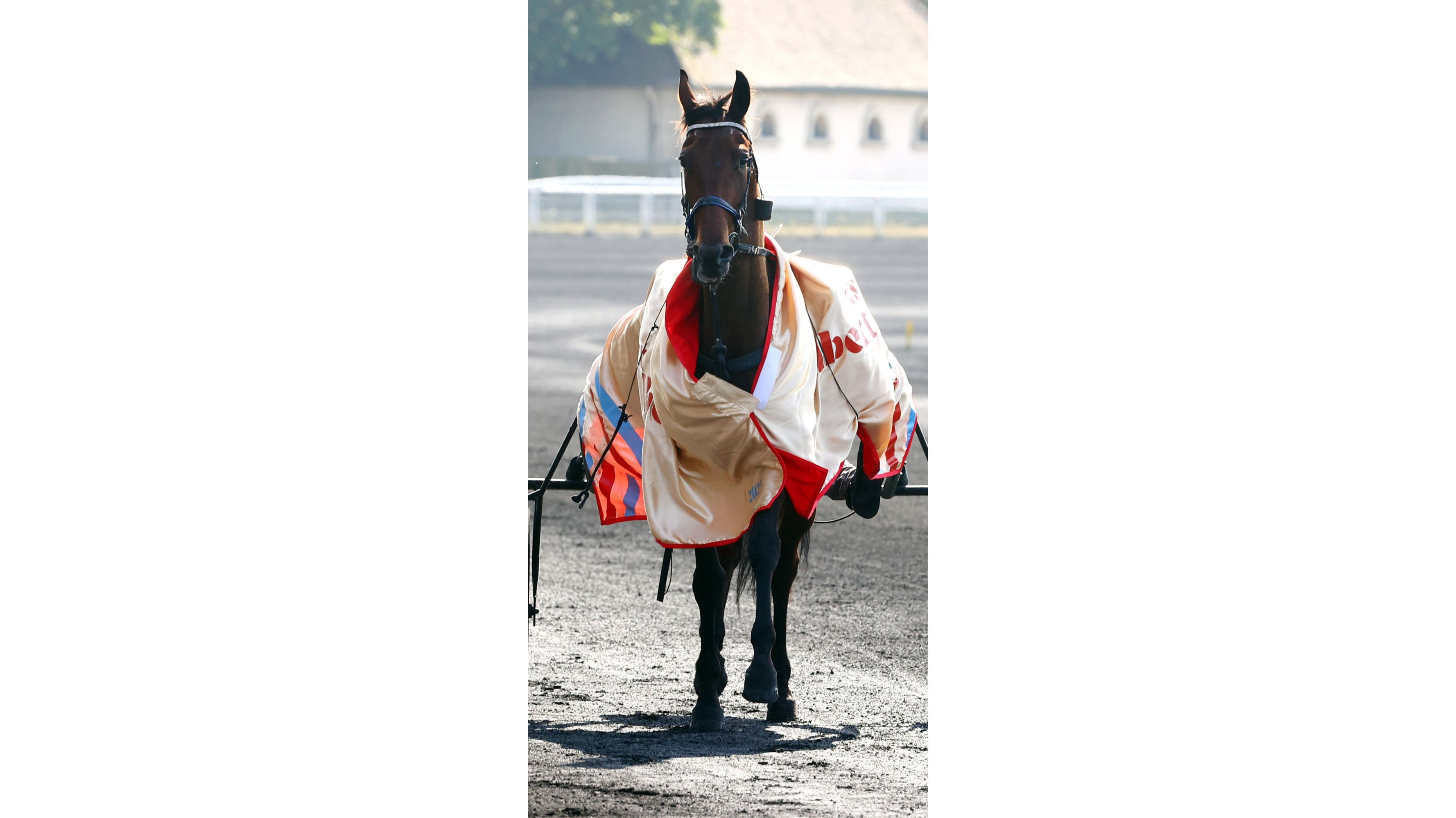 Mille Etoiles, lauréate du Prix Albert Viel - ©Scoopdyga