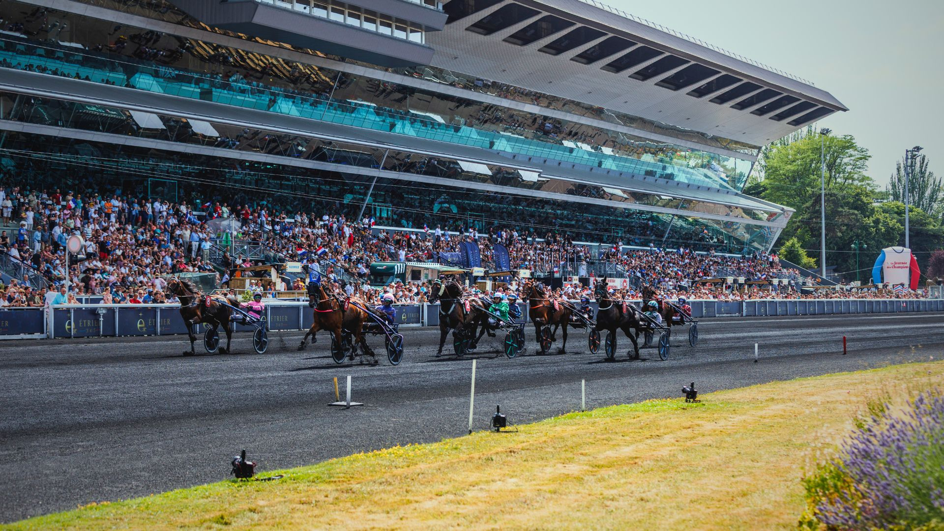 ©BrunoVandeVelde/SETF