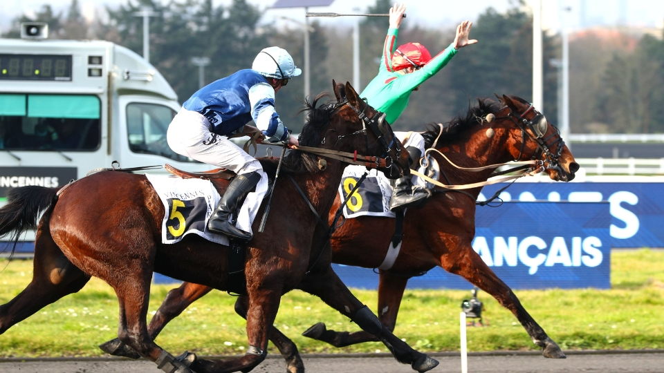 Hirondelle du Rib et I Can Dream samedi 1er mars - © ScoopDyga