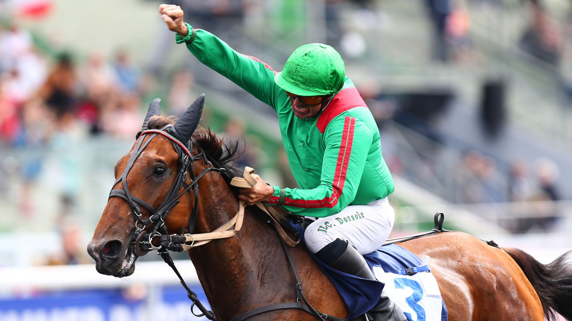 Hirondelle du Rib dans le "Président de la République" - © ScoopDyga