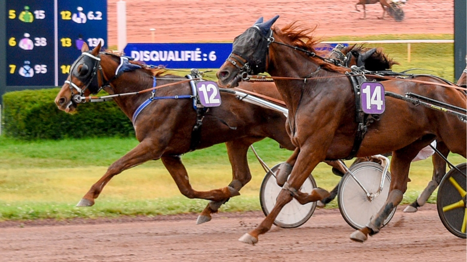 Hollywood Torino - Historic Day