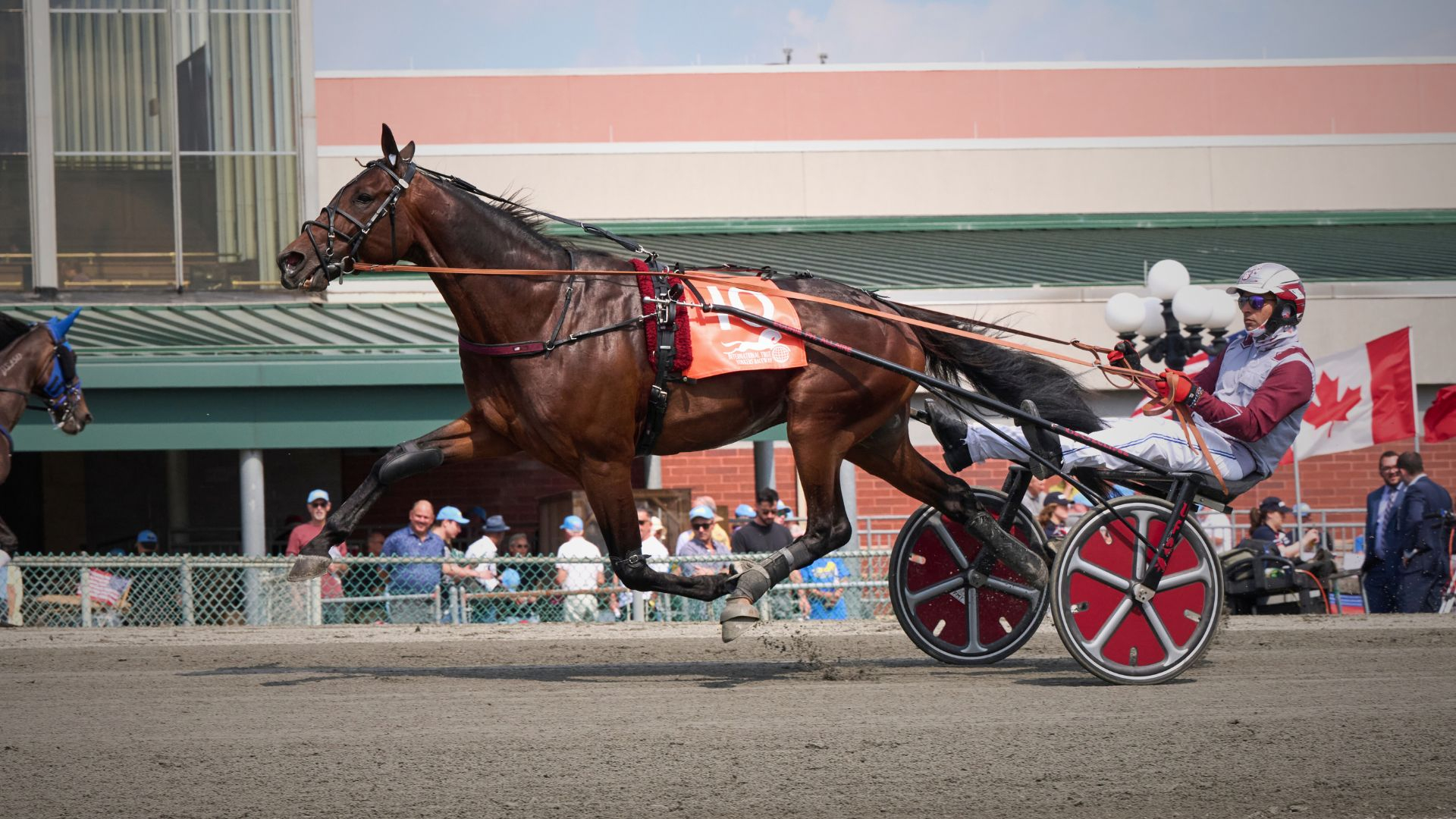 Magnifique Hohneck - ©FabriceSimon/ProvinceCourses
