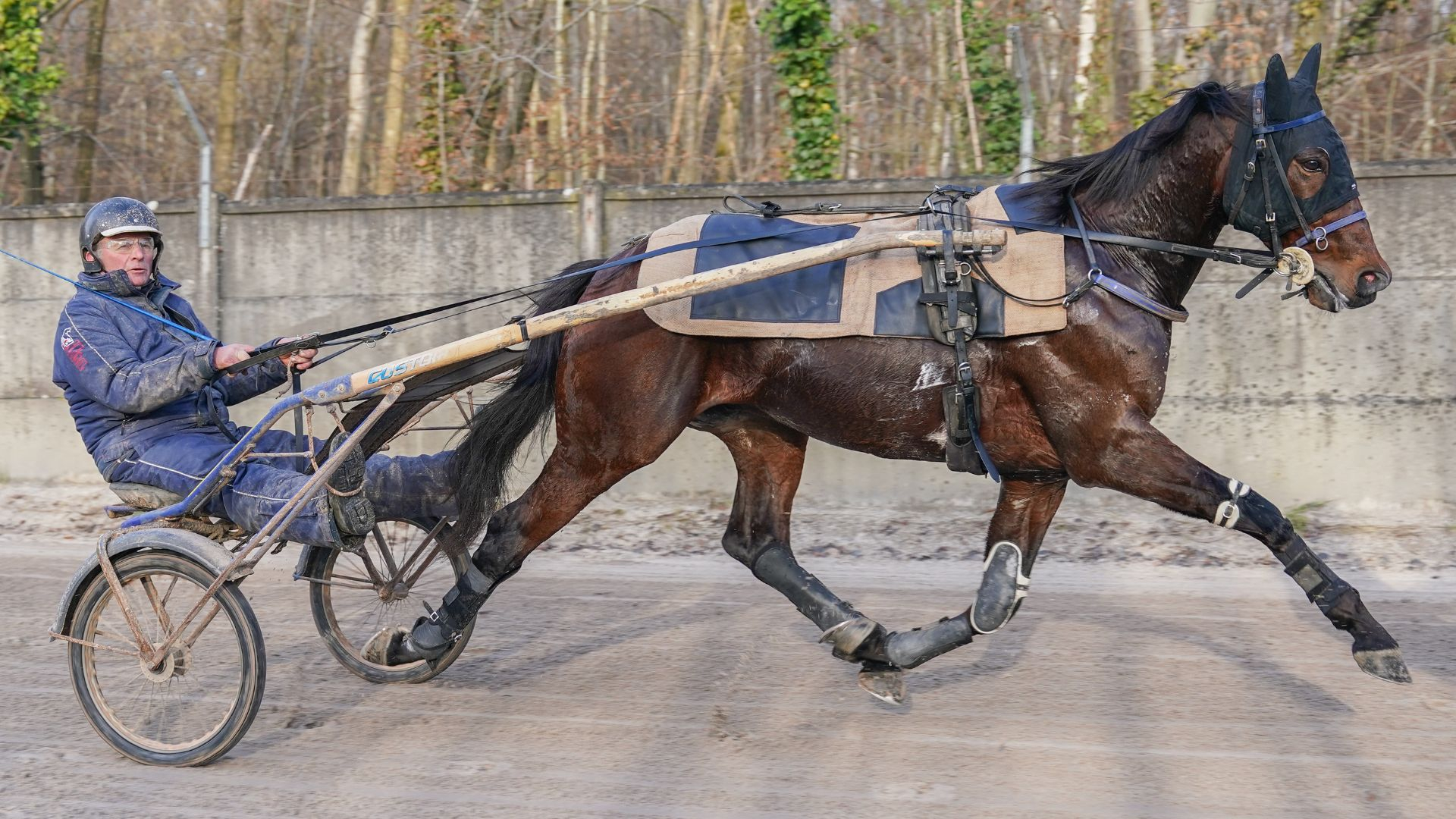 Hokkaido Jiel à l'entraînement il y a quelques jours - © Aprh