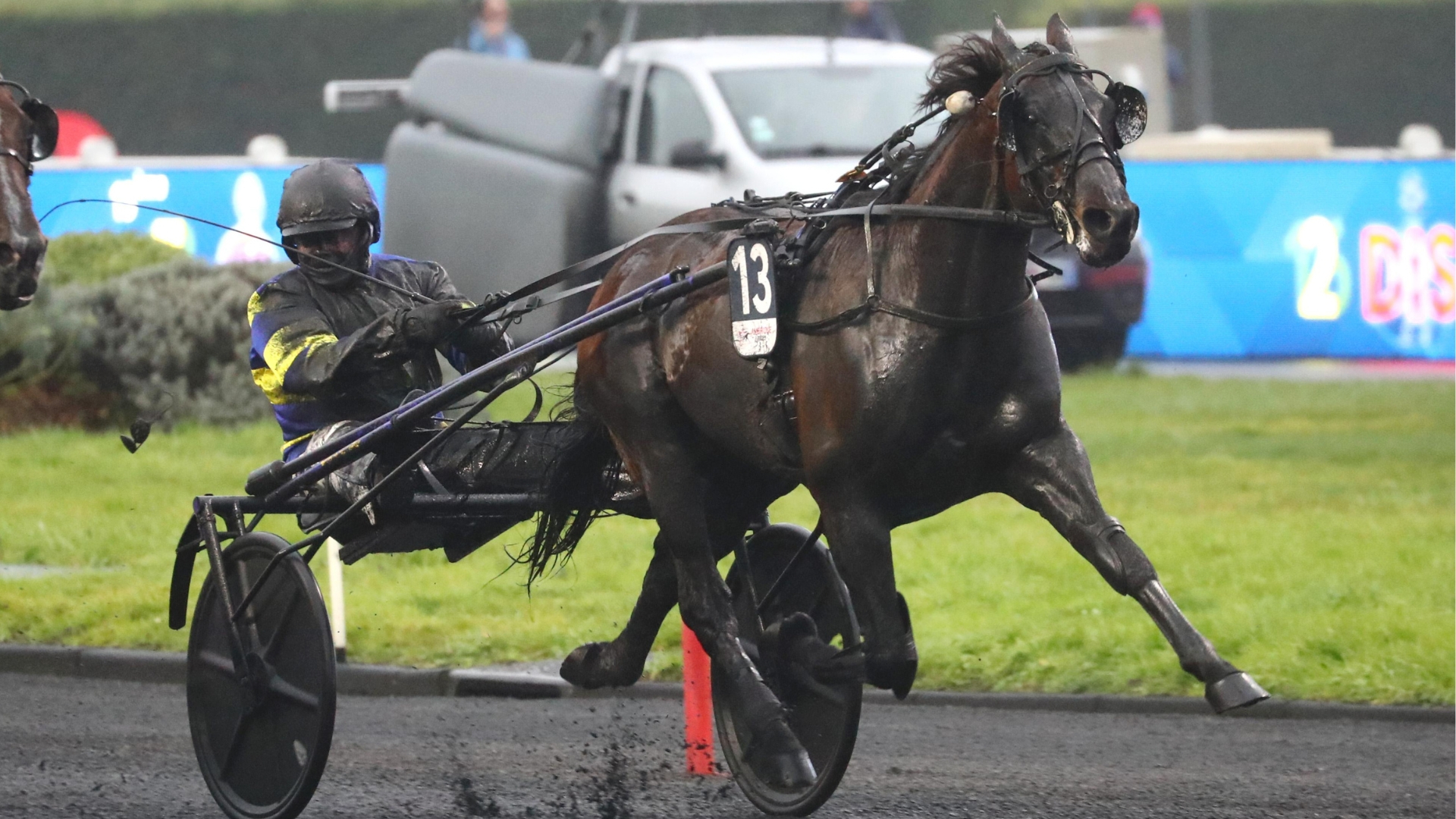 Hokkaido Jiel (dans le Prix d'Amérique) - © ScoopDyga