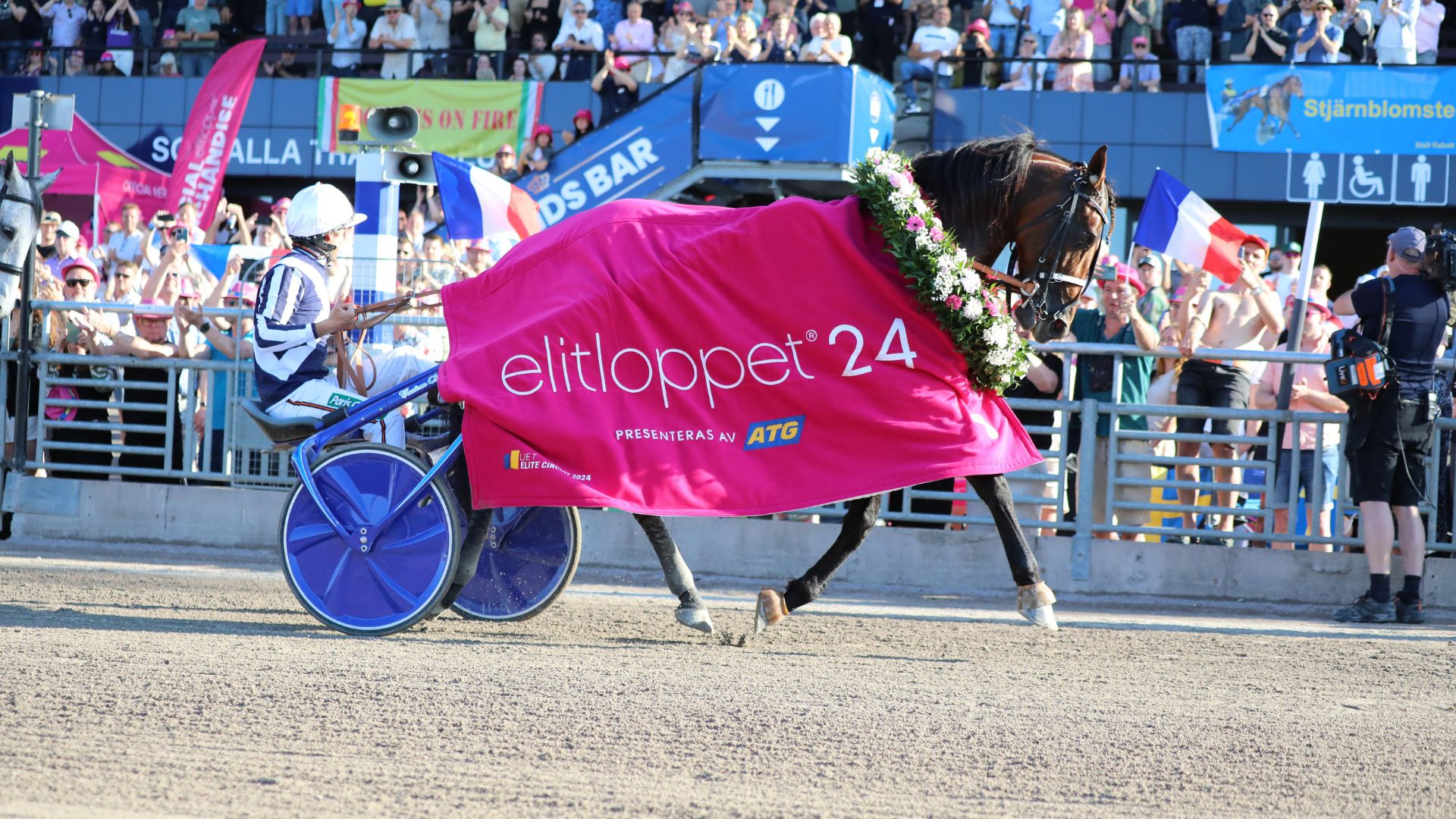 Horsy Dream - ©ProvinceCourses