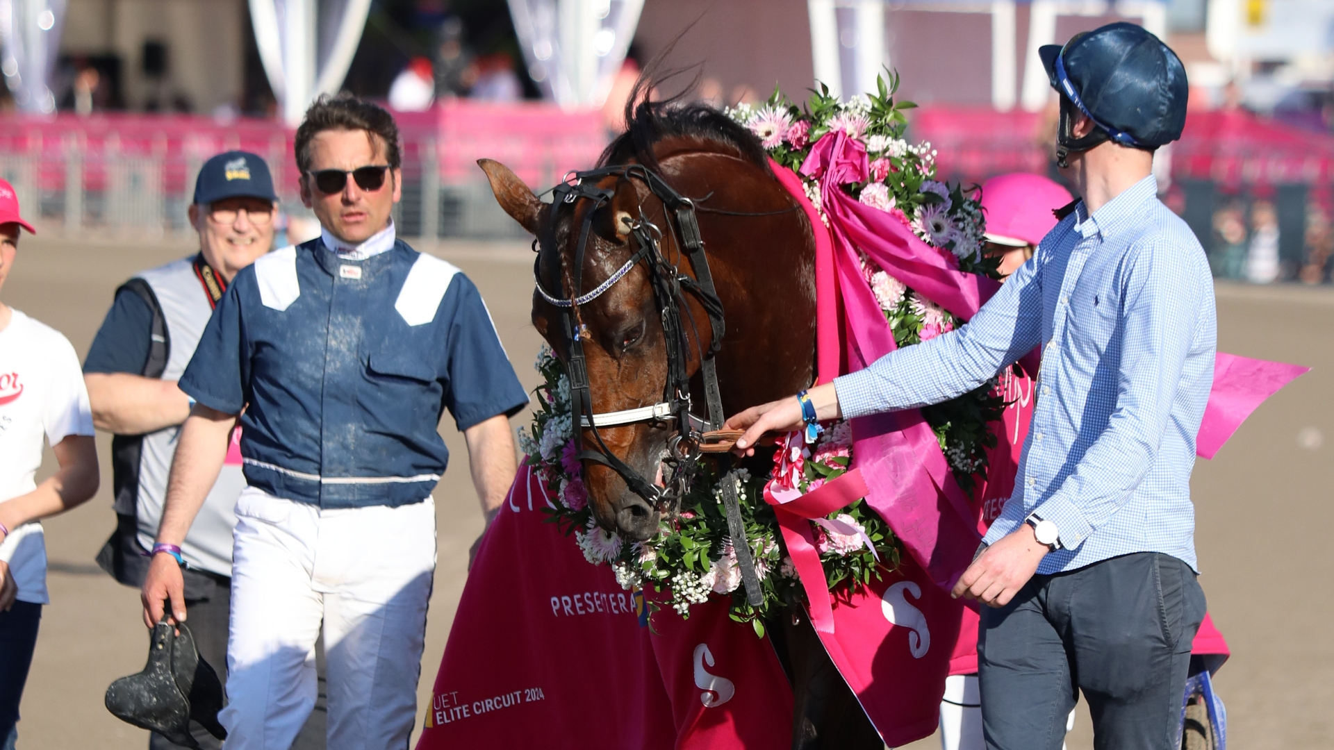 Horsy Dream après son triomphe dans l'Elitloppet 2024 - © Province Courses/Pauline Lefau
