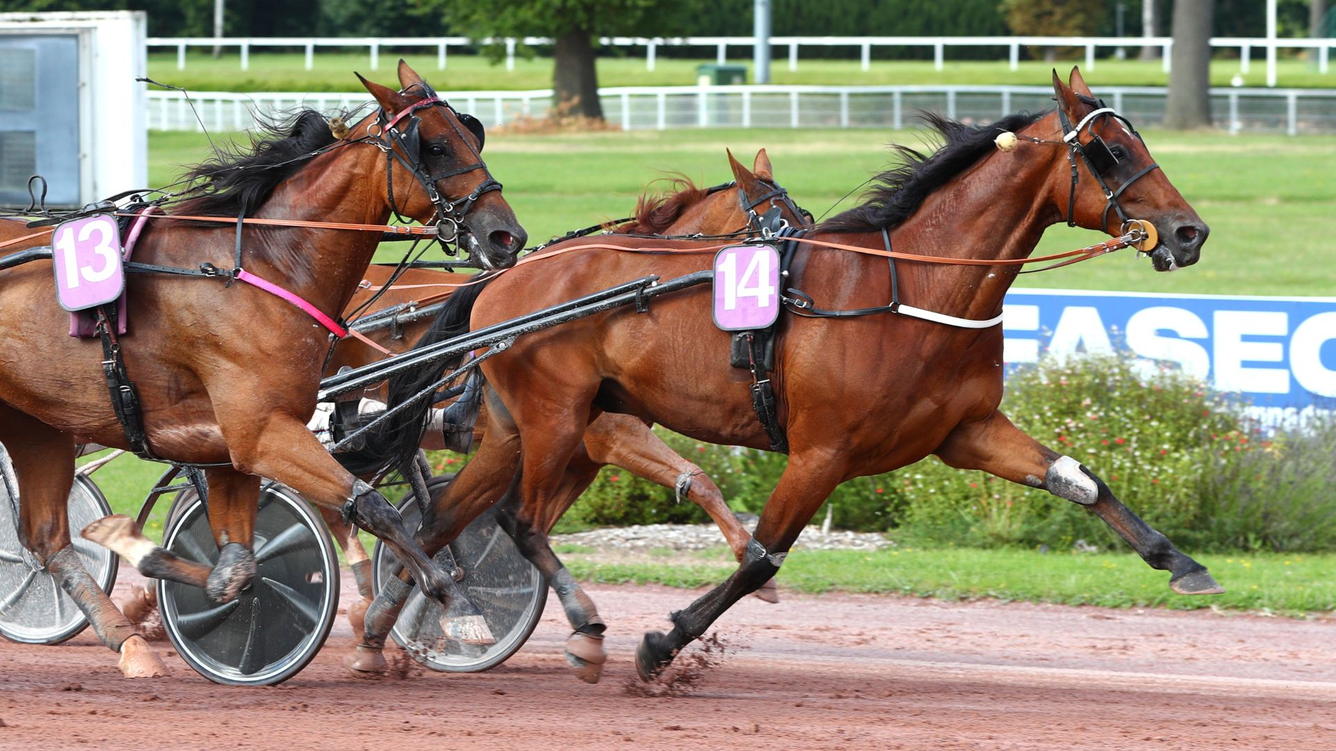 Hurricane Carter - ©Scoopdyga