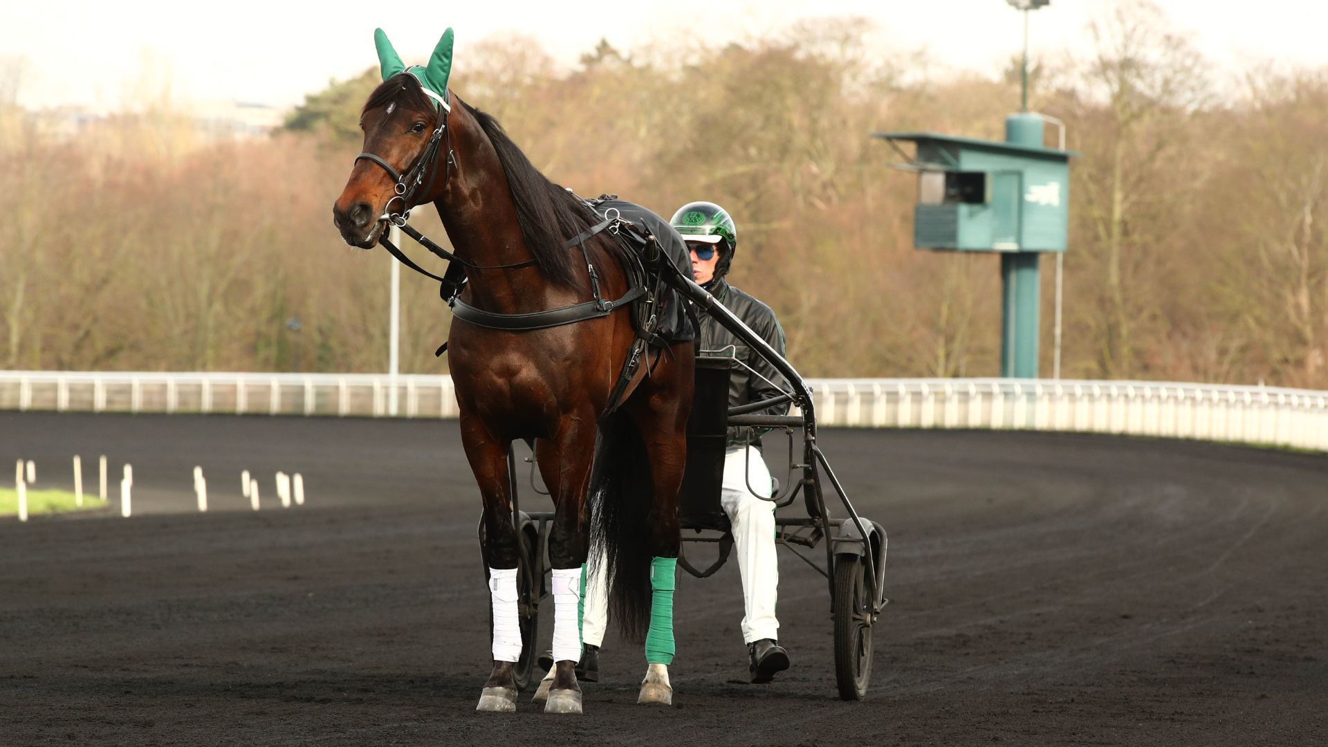 Hussard du Landret - ©Scoopdyga